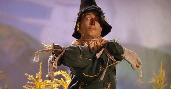 When the scarecrow points both ways and we don't know which direction is best.