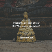 On Finding Your True Self And Life Direction