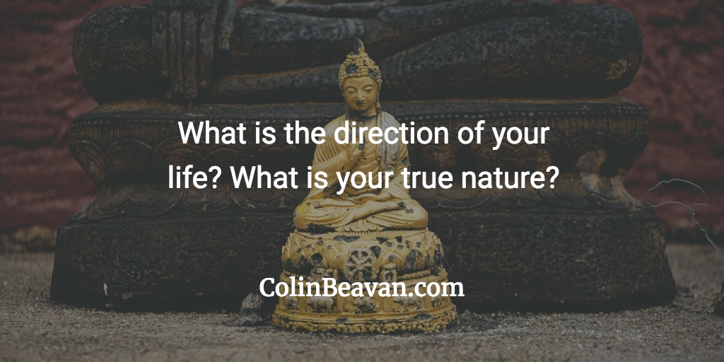 What is the direction of your life? What is your true nature?